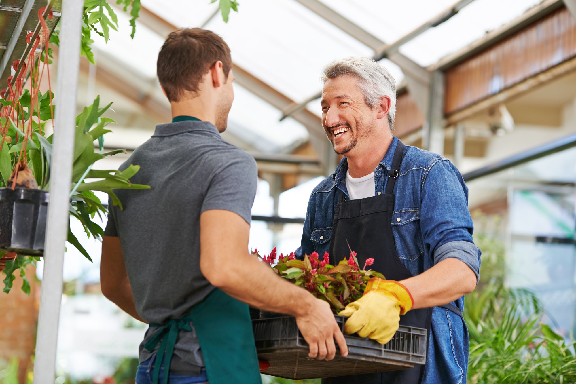 shutterstock_255180145